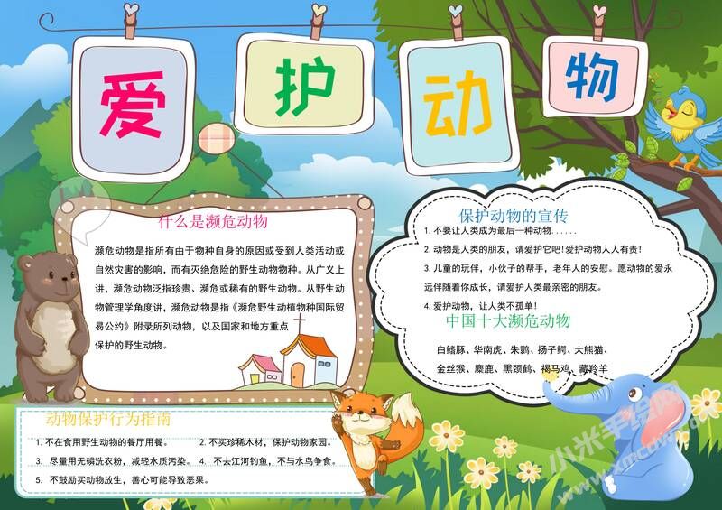 愛護(hù)動物手抄報(bào)內(nèi)容模板有字版.jpg