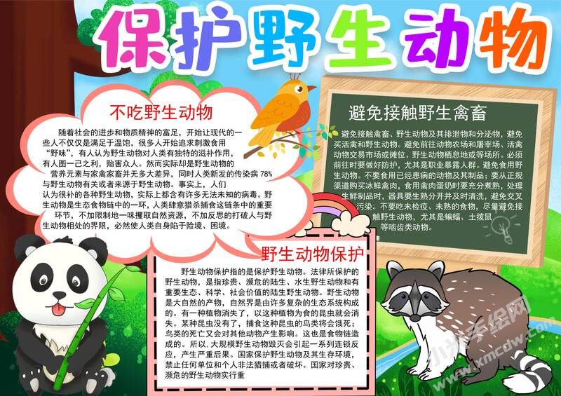 保護(hù)野生動(dòng)物手抄報(bào)模板有字版.jpg