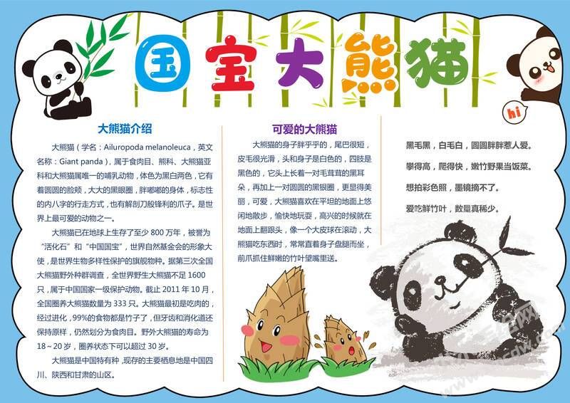 國寶大熊貓手抄報(bào)模板有字版.jpg