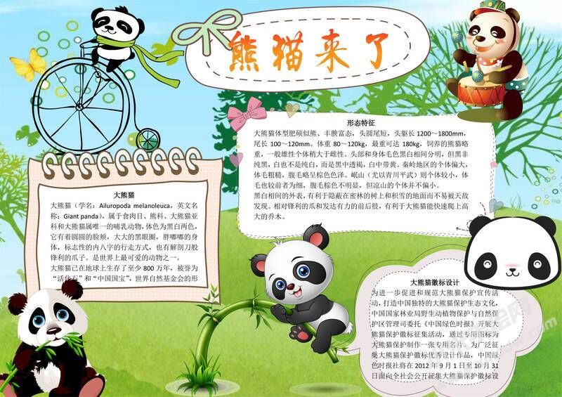 熊貓來了手抄報模板有字版（第二版）.jpg