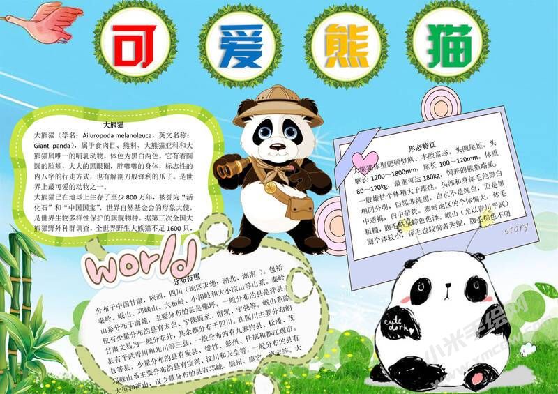 可愛熊貓手抄報(bào)模板有字版.jpg