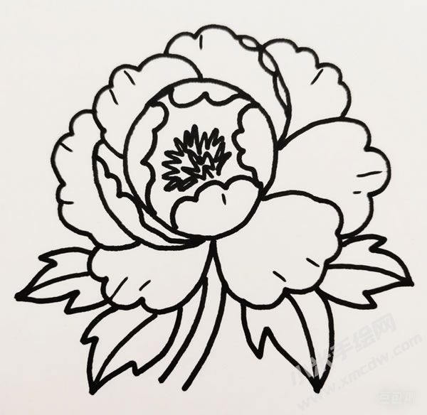 牡丹花簡筆畫01.jpg