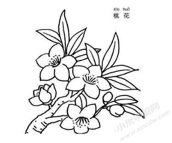 桃花簡(jiǎn)筆畫圖片01.jpg