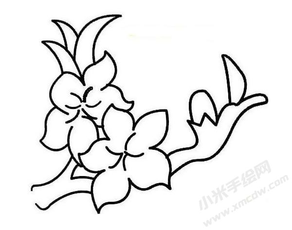 桃花簡(jiǎn)筆畫圖片02.jpg