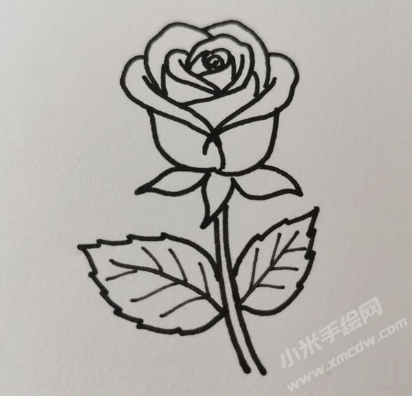 玫瑰花簡(jiǎn)筆畫(huà)圖片03.jpg