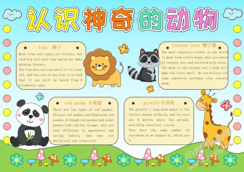 認(rèn)識(shí)神奇的動(dòng)物手抄報(bào)模板有字版.jpg