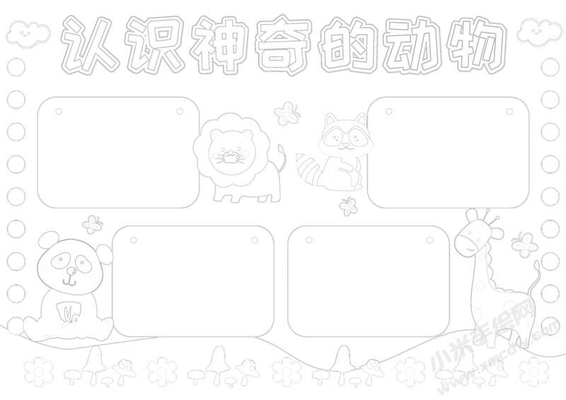 認(rèn)識(shí)神奇的動(dòng)物手抄報(bào)黑白線稿.jpg
