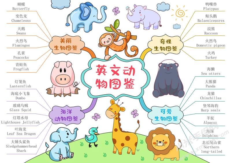 英文動(dòng)物圖鑒手抄報(bào)模板有字版.jpg