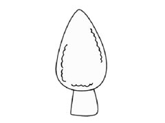 柏樹(shù)兒童簡(jiǎn)筆畫(huà)步驟圖示