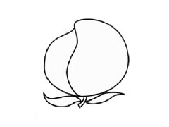 桃子兒童簡(jiǎn)筆畫步驟圖示