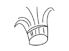 韭菜兒童簡筆畫步驟圖示