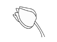 梔子花簡(jiǎn)筆畫(huà)創(chuàng)作步驟圖示