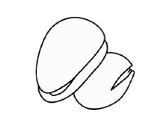 松子簡(jiǎn)筆畫(huà)步驟圖示