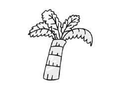 棕櫚樹簡(jiǎn)筆畫創(chuàng)作步驟圖示
