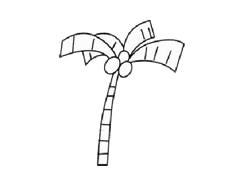 椰子樹兒童簡(jiǎn)筆畫步驟圖示