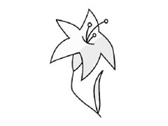 百合花簡筆畫步驟圖示