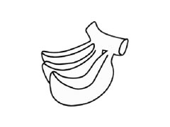 香蕉兒童簡(jiǎn)筆畫步驟圖示