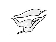 辣椒簡(jiǎn)筆畫(huà)步驟圖示