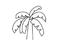 芭蕉樹兒童簡(jiǎn)筆畫步驟圖示
