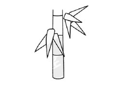 竹子簡筆畫創(chuàng)作步驟圖示