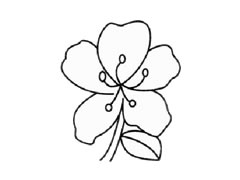杜鵑花簡筆畫創(chuàng)作步驟圖示