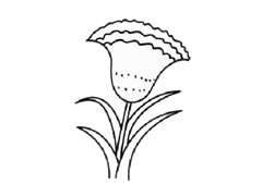雞冠花簡筆畫創(chuàng)作步驟圖示