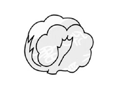 卷心菜簡(jiǎn)筆畫(huà)創(chuàng)作步驟圖示