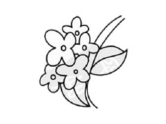 桂花簡筆畫創(chuàng)作步驟圖示