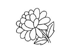 金盞菊簡(jiǎn)筆畫(huà)創(chuàng)作步驟圖示