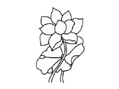 荷花兒童簡筆畫步驟圖示