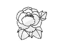 牡丹花簡筆畫創(chuàng)作步驟圖示