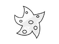 海星兒童簡(jiǎn)筆畫步驟圖示