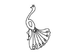 孔雀兒童簡(jiǎn)筆畫步驟圖示