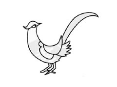 野雞簡(jiǎn)筆畫創(chuàng)作步驟圖示