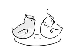 鴛鴦簡筆畫創(chuàng)作步驟圖示