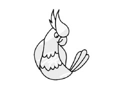 鸚鵡兒童簡(jiǎn)筆畫步驟圖示