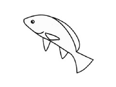 大馬哈魚簡筆畫創(chuàng)作步驟圖示