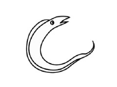 帶魚簡筆畫創(chuàng)作步驟圖示