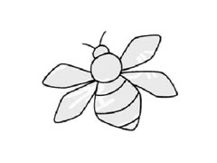 蜜蜂兒童簡(jiǎn)筆畫繪制步驟圖示