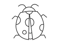 七星瓢蟲(chóng)簡(jiǎn)筆畫(huà)創(chuàng)作步驟圖示