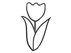 郁金香簡(jiǎn)筆畫(huà)創(chuàng)作步驟圖示