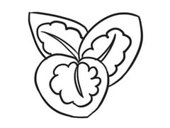 竹芋簡筆畫創(chuàng)作步驟圖示