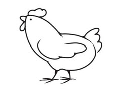 小雞簡(jiǎn)筆畫創(chuàng)作步驟圖示