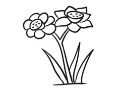 水仙花簡筆畫創(chuàng)作步驟圖示