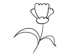 康乃馨簡(jiǎn)筆畫(huà)創(chuàng)作步驟圖示