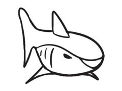 鯊魚簡筆畫創(chuàng)作步驟圖示