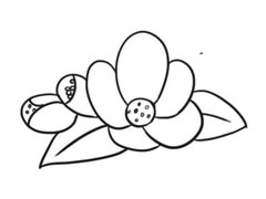海棠花簡(jiǎn)筆畫創(chuàng)作步驟圖示