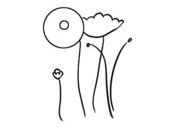 虞美人簡筆畫創(chuàng)作步驟圖示
