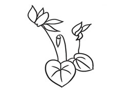 仙客來(lái)簡(jiǎn)筆畫(huà)創(chuàng)作步驟圖示