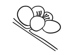 梅花簡(jiǎn)筆畫(huà)創(chuàng)作步驟圖示